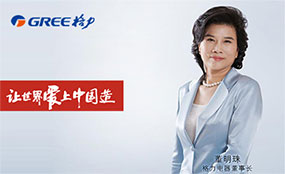 品牌網站建設案例