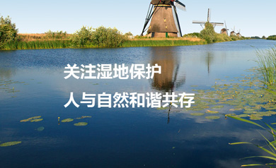 廣東省濕地保護協會